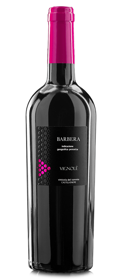 5V_barberanew